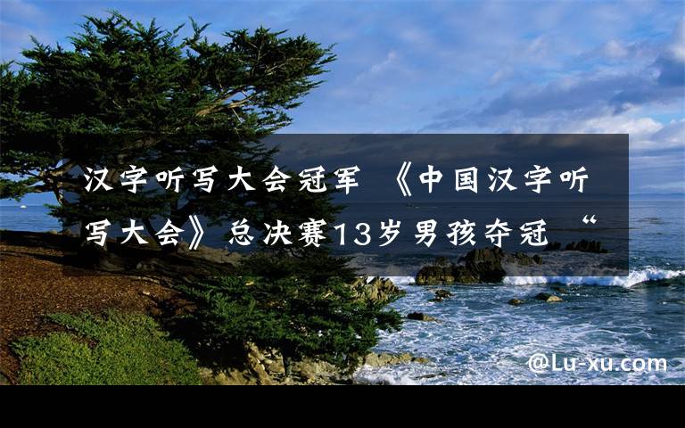 汉字听写大会冠军 《中国汉字听写大会》总决赛13岁男孩夺冠 “影戤”您认识吗?
