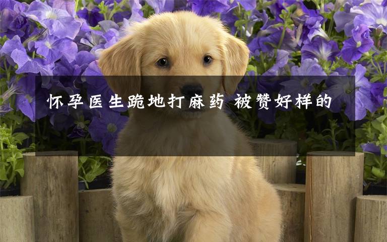 怀孕医生跪地打麻药 被赞好样的