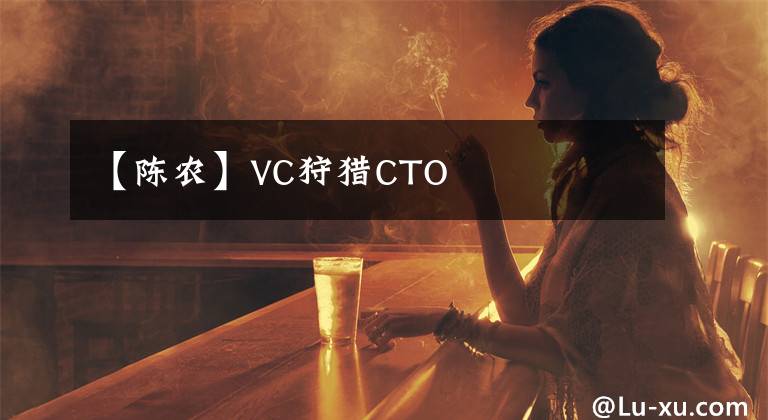 【陈农】VC狩猎CTO