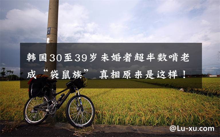 韩国30至39岁未婚者超半数啃老成“袋鼠族” 真相原来是这样!