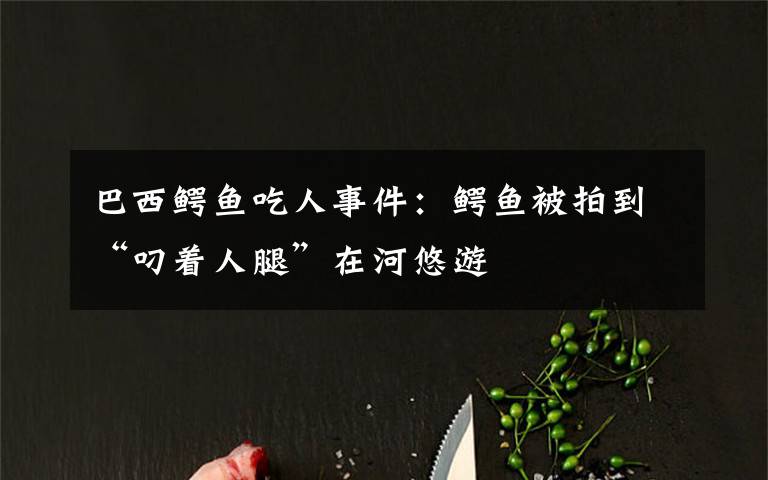 巴西鳄鱼吃人事件:鳄鱼被拍到“叼着人腿”在河悠游