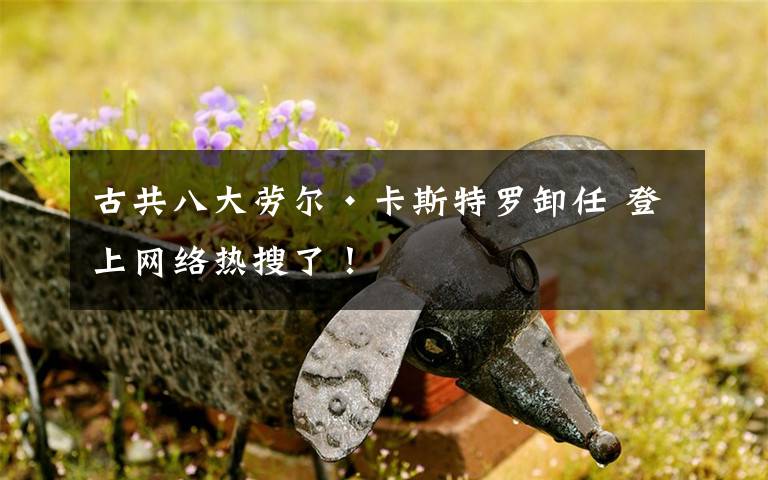 古共八大劳尔·卡斯特罗卸任 登上网络热搜了!