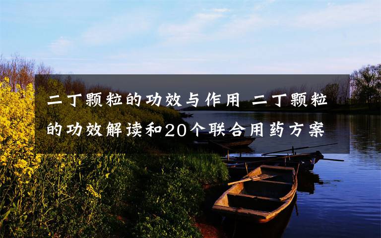 二丁颗粒的功效与作用 二丁颗粒的功效解读和20个联合用药方案!