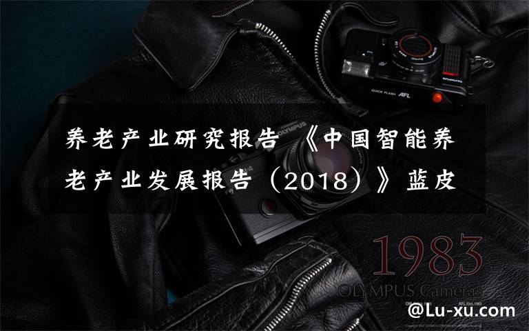 养老产业研究报告 《中国智能养老产业发展报告（2018）》蓝皮书发布