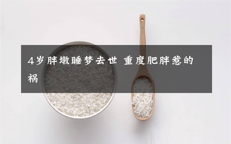 4岁胖墩睡梦去世 重度肥胖惹的祸