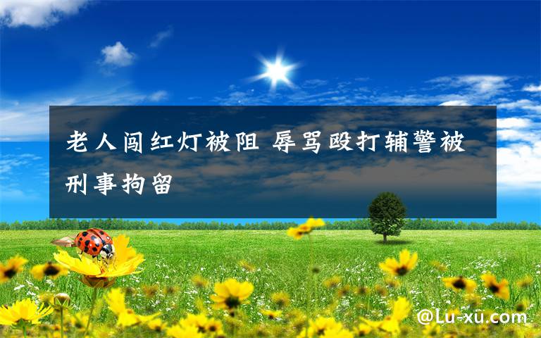 老人闯红灯被阻 辱骂殴打辅警被刑事拘留