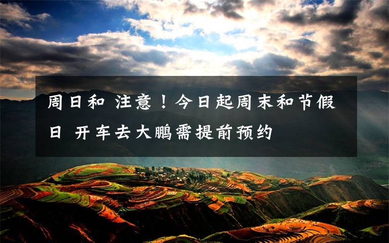周日和 注意!今日起周末和节假日 开车去大鹏需提前预约