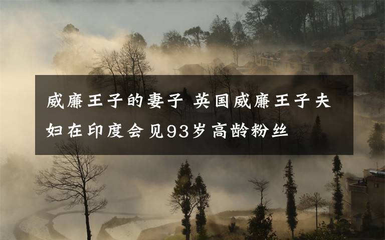 威廉王子的妻子 英国威廉王子夫妇在印度会见93岁高龄粉丝