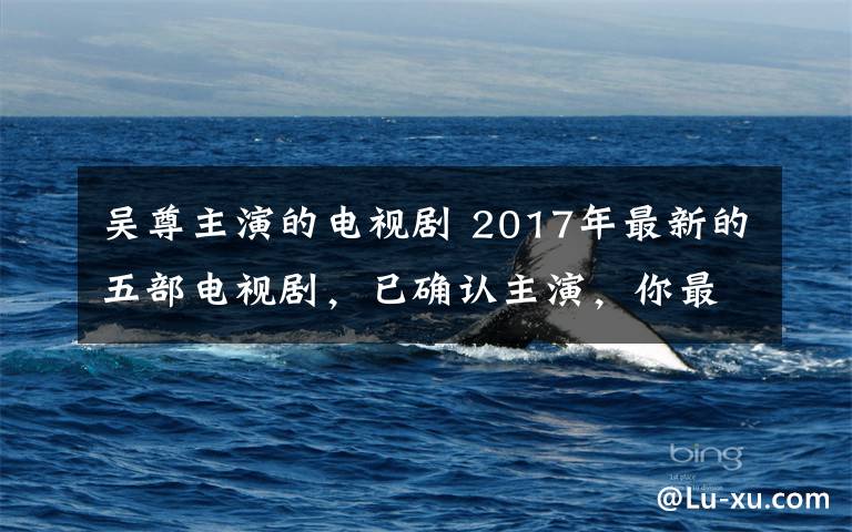 吴尊主演的电视剧 2017年最新的五部电视剧，已确认主演，你最期待哪一部？