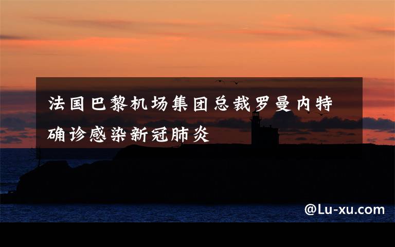 法国巴黎机场集团总裁罗曼内特确诊感染新冠肺炎