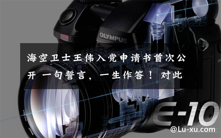 海空卫士王伟入党申请书首次公开 一句誓言,一生作答! 对此大家怎么看?