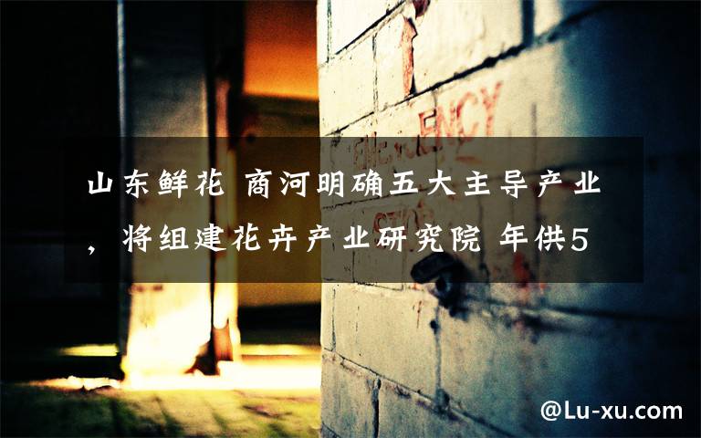 山东鲜花 商河明确五大主导产业,将组建花卉产业研究院 年供5000万盆,打造山东鲜花集散地