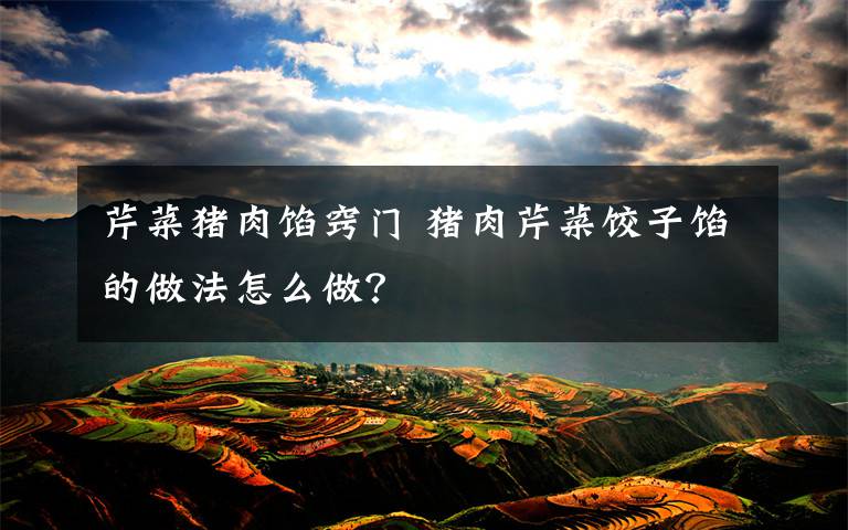 芹菜猪肉馅窍门 猪肉芹菜饺子馅的做法怎么做?