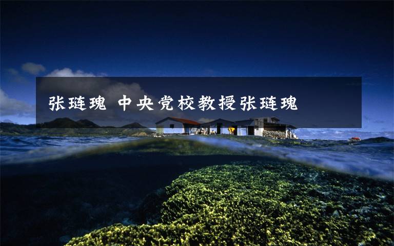 张琏瑰 中央党校教授张琏瑰