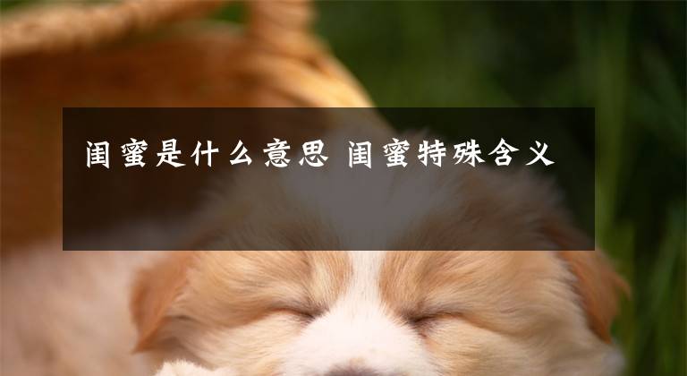 闺蜜是什么意思 闺蜜特殊含义