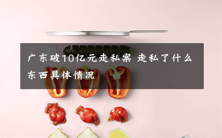 广东破10亿元走私案 走私了什么东西具体情况