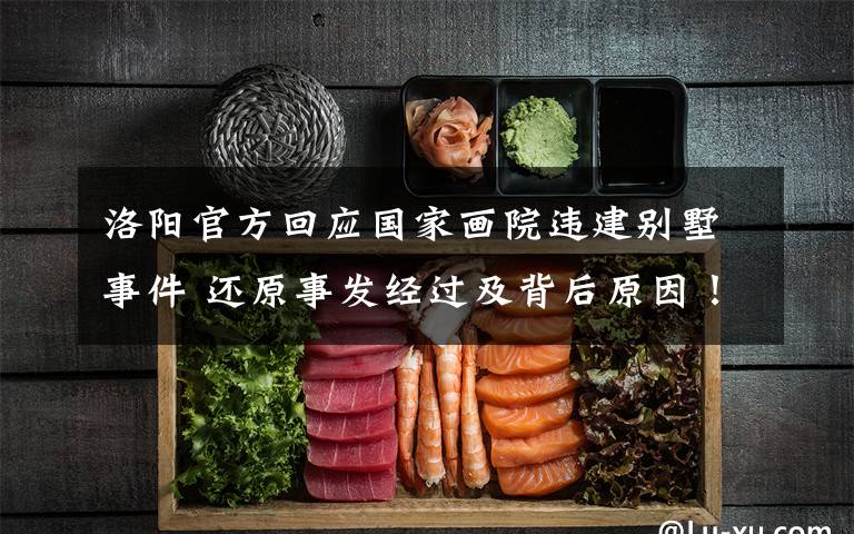 洛阳官方回应国家画院违建别墅事件 还原事发经过及背后原因!