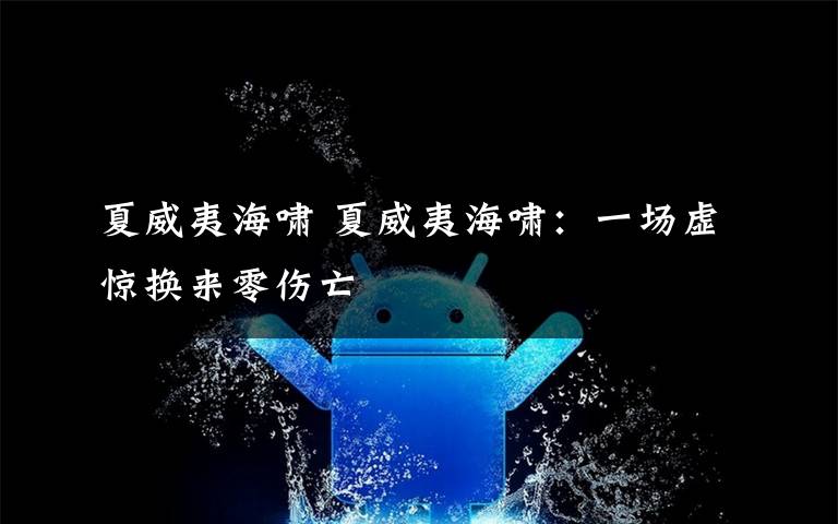 夏威夷海啸 夏威夷海啸：一场虚惊换来零伤亡