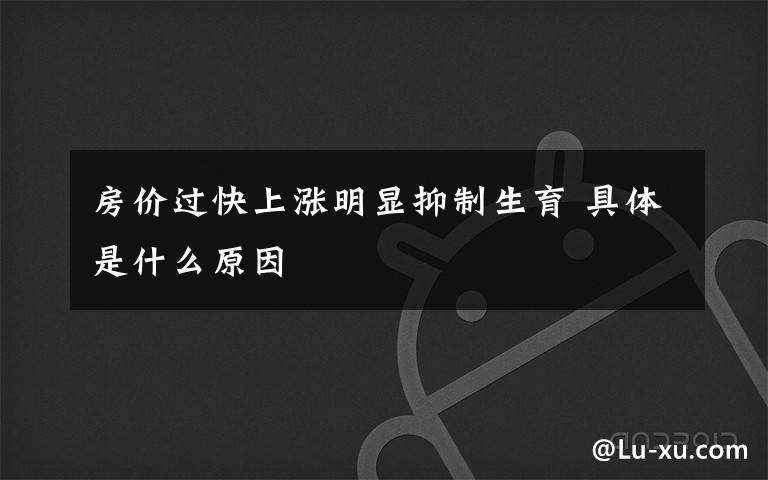 房价过快上涨明显抑制生育 具体是什么原因