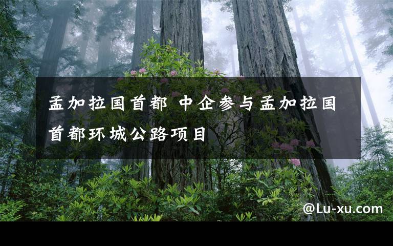 孟加拉国首都 中企参与孟加拉国首都环城公路项目