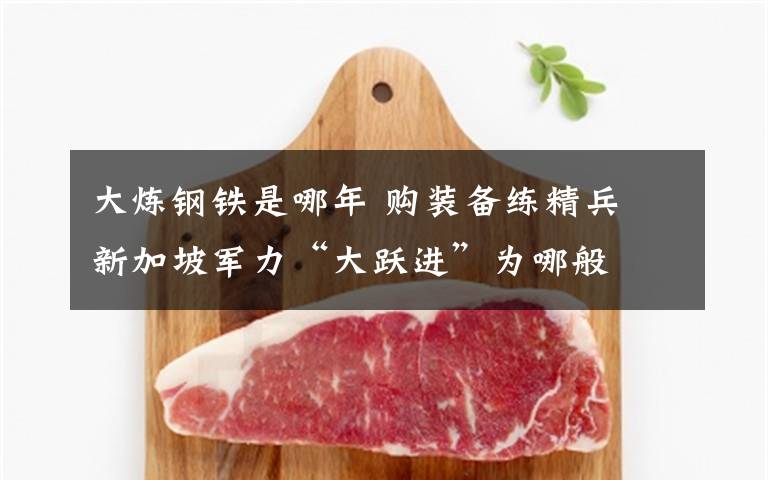 大炼钢铁是哪年 购装备练精兵 新加坡军力“大跃进”为哪般