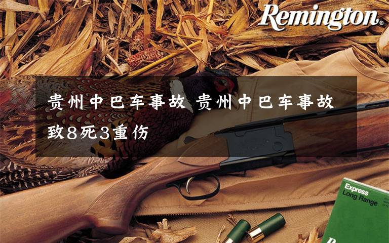 贵州中巴车事故 贵州中巴车事故致8死3重伤