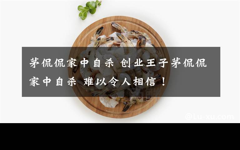 茅侃侃家中自杀 创业王子茅侃侃家中自杀 难以令人相信!