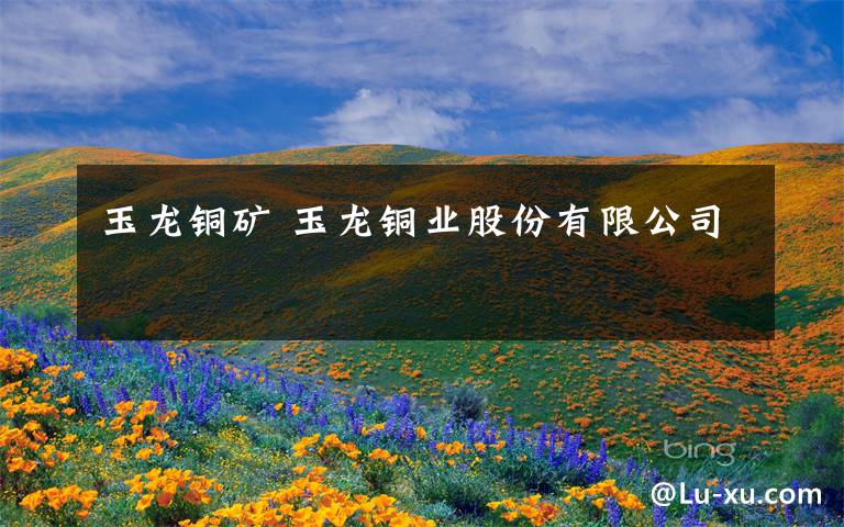 玉龙铜矿 玉龙铜业股份有限公司