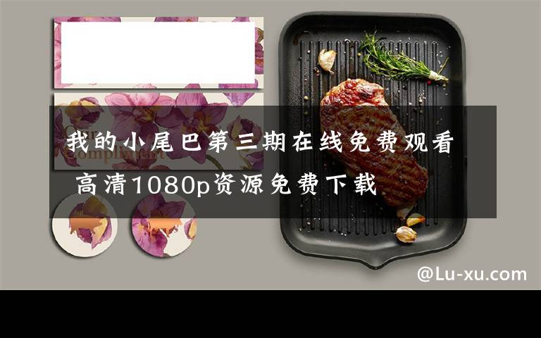 我的小尾巴第三期在线免费观看 高清1080p资源免费下载