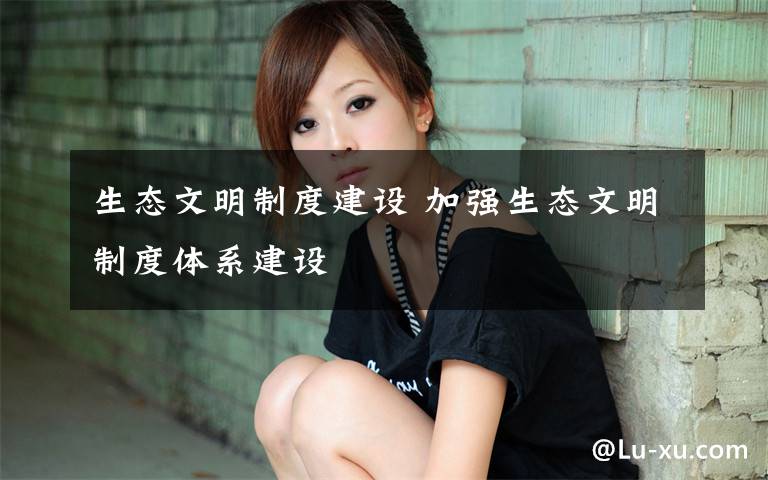 生态文明制度建设 加强生态文明制度体系建设