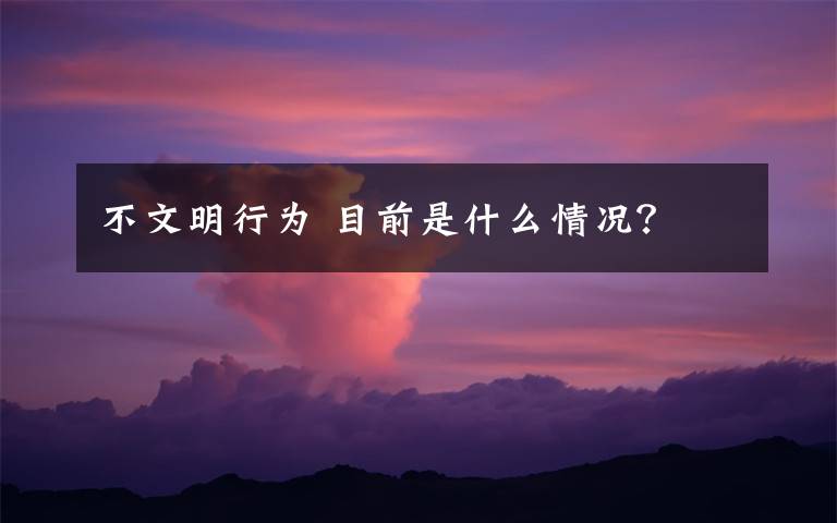 不文明行为 目前是什么情况？