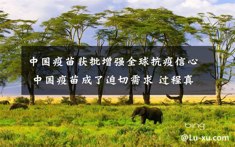 中国疫苗获批增强全球抗疫信心 中国疫苗成了迫切需求 过程真相详细揭秘！