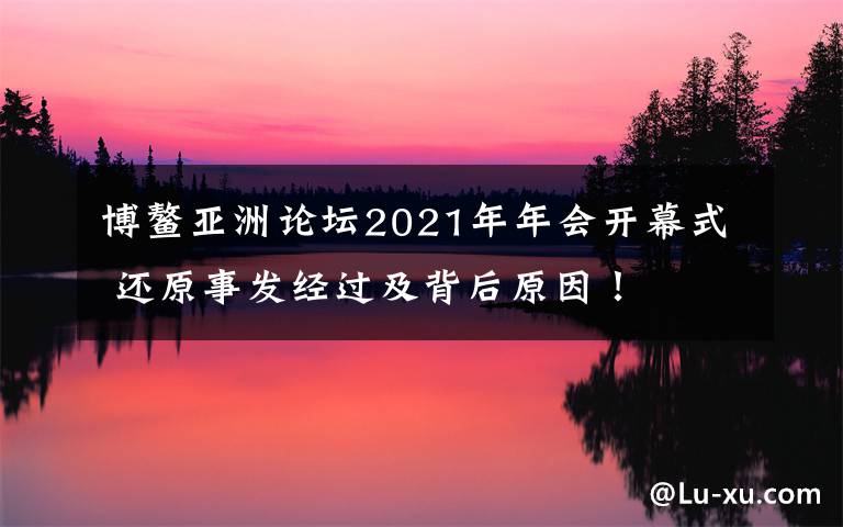 博鳌亚洲论坛2021年年会开幕式 还原事发经过及背后原因!