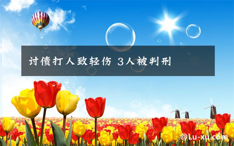 讨债打人致轻伤 3人被判刑