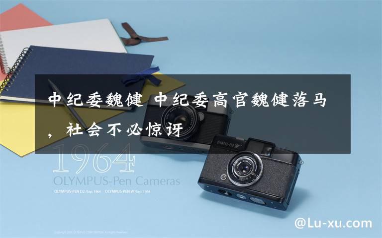 中纪委魏健 中纪委高官魏健落马,社会不必惊讶