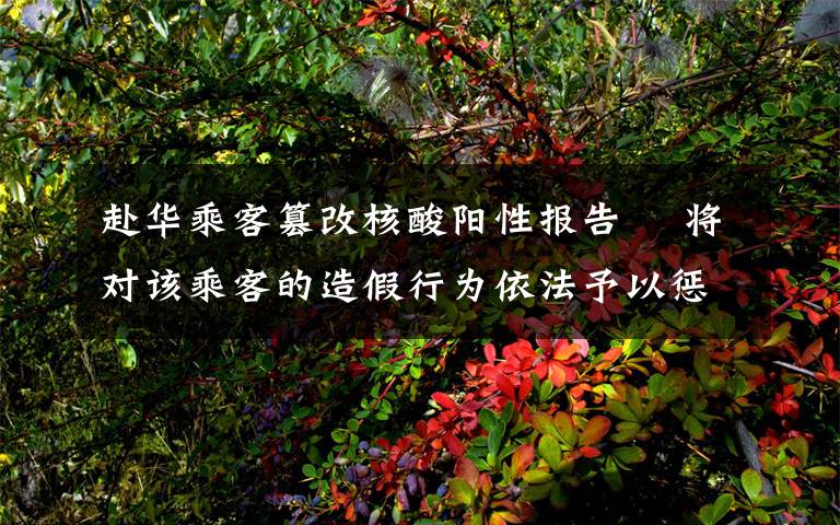 赴华乘客篡改核酸阳性报告  将对该乘客的造假行为依法予以惩处 对此大家怎么看?