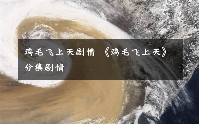 鸡毛飞上天剧情 《鸡毛飞上天》分集剧情