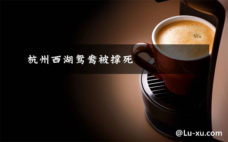 杭州西湖鸳鸯被撑死