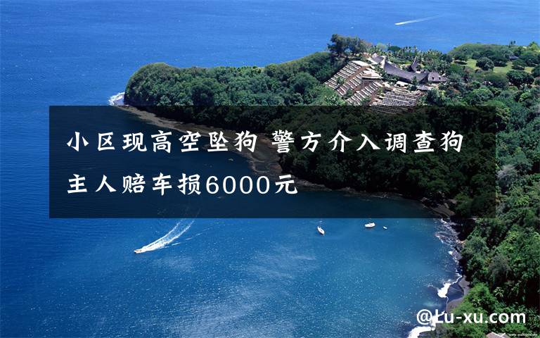小区现高空坠狗 警方介入调查狗主人赔车损6000元