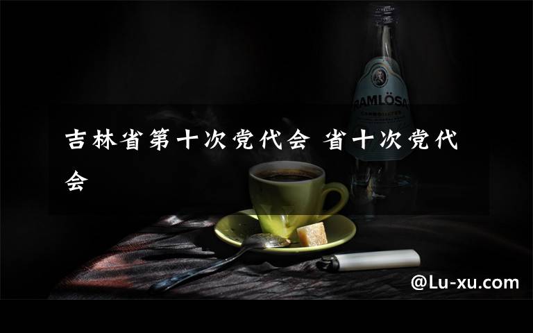 吉林省第十次党代会 省十次党代会
