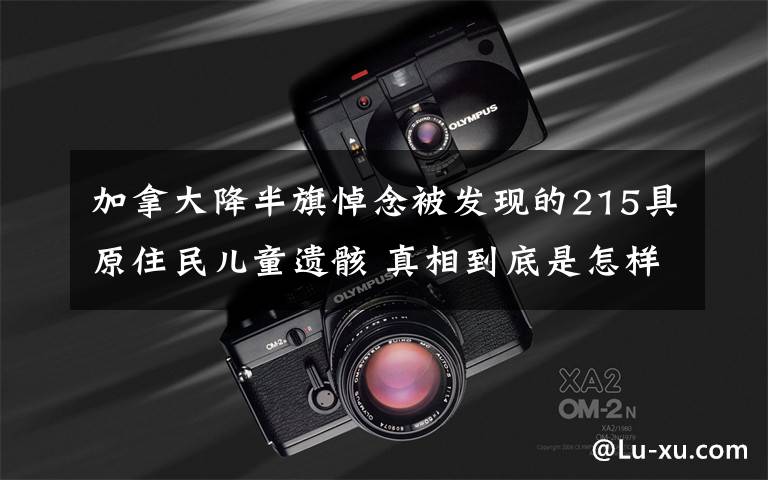 加拿大降半旗悼念被发现的215具原住民儿童遗骸 真相到底是怎样的?