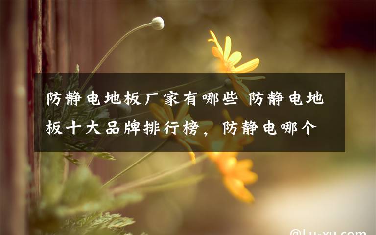 防静电地板厂家有哪些 防静电地板十大品牌排行榜，防静电哪个牌子好？