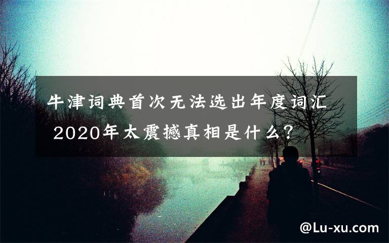 牛津词典首次无法选出年度词汇 2020年太震撼真相是什么?