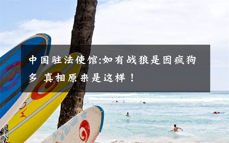 中国驻法使馆:如有战狼是因疯狗多 真相原来是这样!