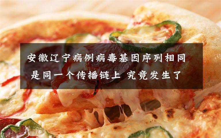 安徽辽宁病例病毒基因序列相同 是同一个传播链上 究竟发生了什么?