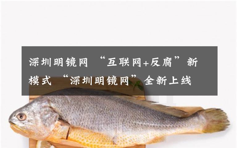 深圳明镜网 “互联网+反腐”新模式 “深圳明镜网”全新上线