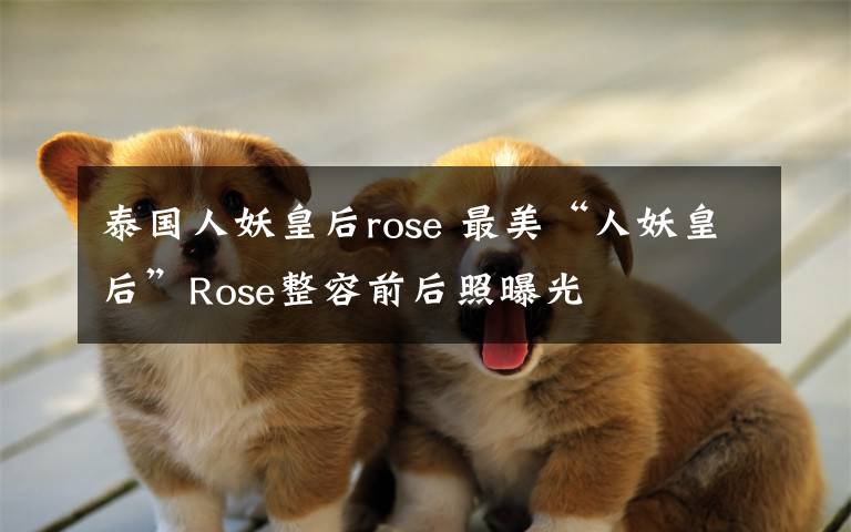 泰国人妖皇后rose 最美“人妖皇后”Rose整容前后照曝光
