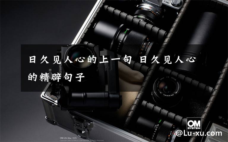 日久见人心的上一句 日久见人心的精辟句子