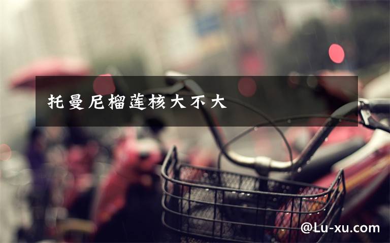 托曼尼榴莲核大不大