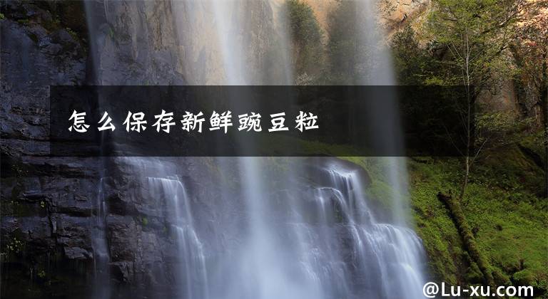 怎么保存新鲜豌豆粒